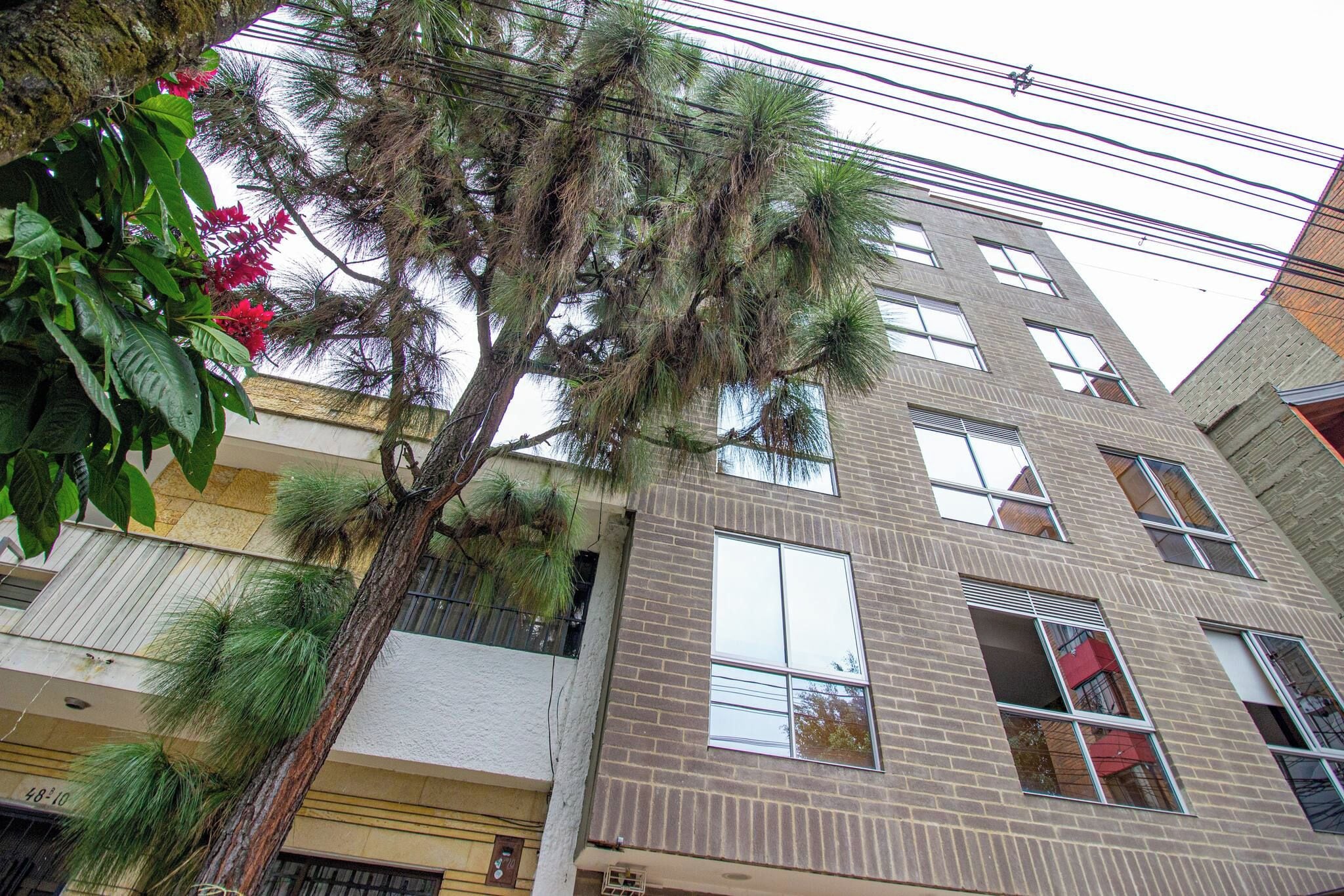 Un edificio de varios pisos con fachada de ladrillo, múltiples ventanas y un árbol en la entrada.