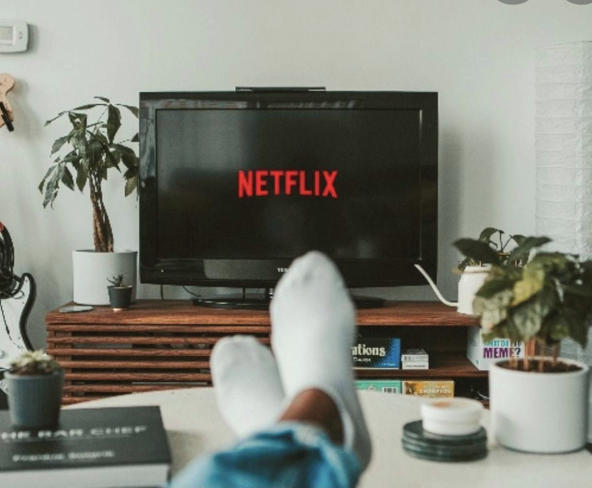 Un televisor con el logo de Netflix en la pantalla, sobre un soporte de madera y una planta en maceta a su lado.