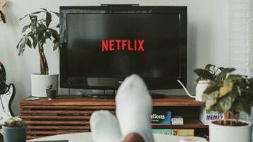 Un televisor con el logo de Netflix en la pantalla, sobre un soporte de madera y una planta en maceta a su lado.