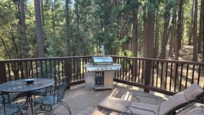 Eine Terrasse mit Grill, Sitzgelegenheiten im Freien und Blick auf einen Wald.