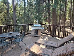 Una terrassa amb una barbacoa, seients exteriors i vista a un bosc.