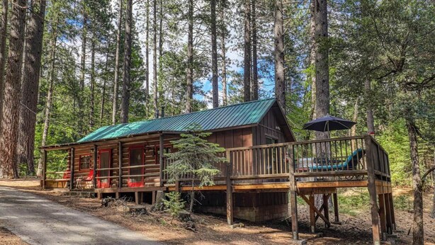 Eine Hütte mit Veranda und Terrasse, umgeben von hohen Bäumen.
