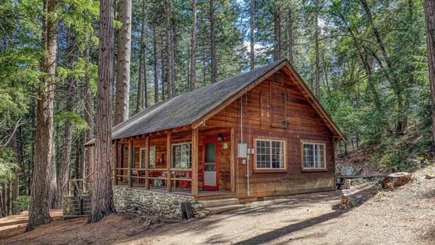 Eine Holzhütte mit Veranda, umgeben von hohen Bäumen.