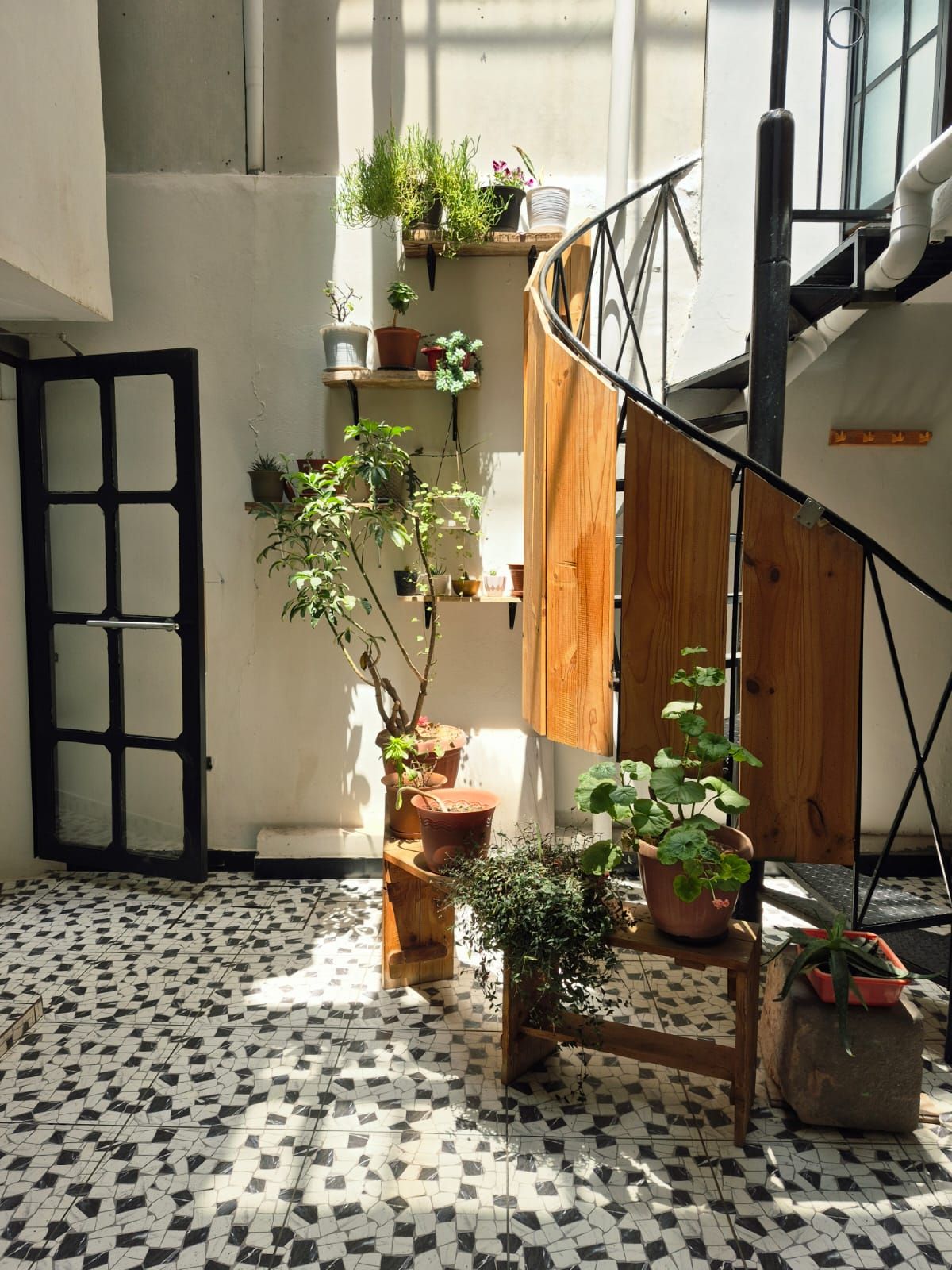 A sunlit interior with a tiled floor, a wooden staircase, and various potted plants.