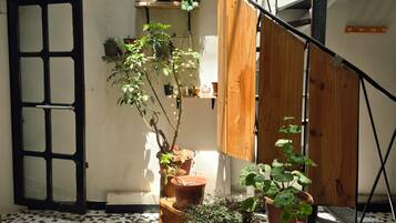 A sunlit interior with a tiled floor, a wooden staircase, and various potted plants.