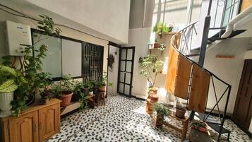 A room with a tiled floor, a wooden cabinet, and multiple potted plants.