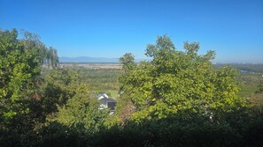A residential area with houses surrounded by dense foliage and a clear view of distant mountains.