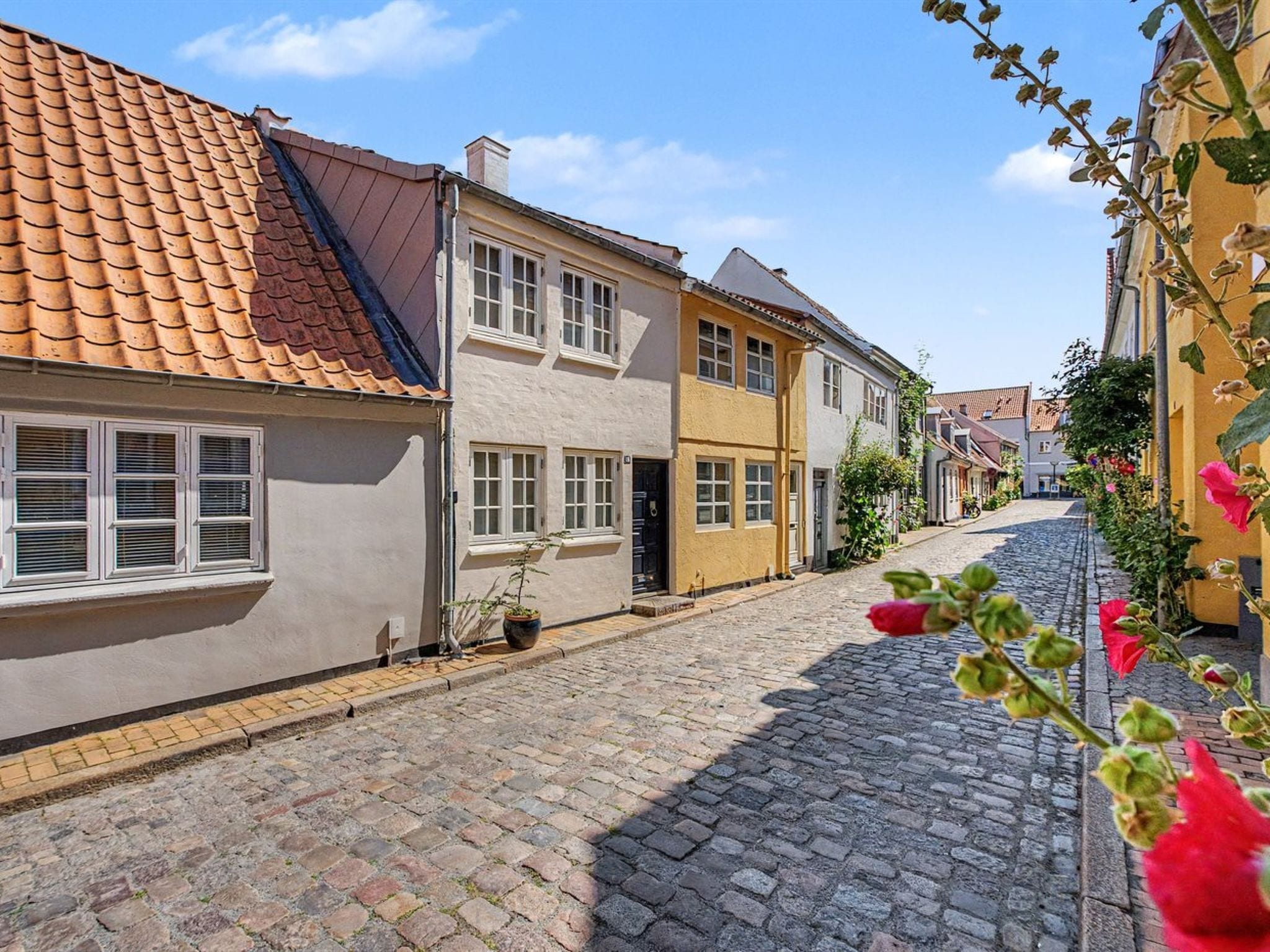 Eksteriør