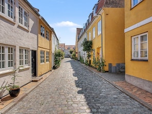 Une rue pavée bordée d’immeubles dotés de grandes fenêtres et de grandes portes, ce qui évoque un cadre historique ou européen.