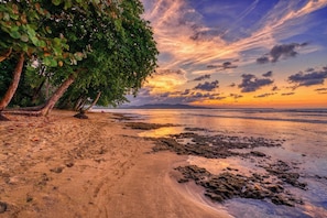 A beach with trees, a clear sky, and a sunset. - Haze Villa | Tropical Retreat & Pool (Puerto Viejo De Talamanca)