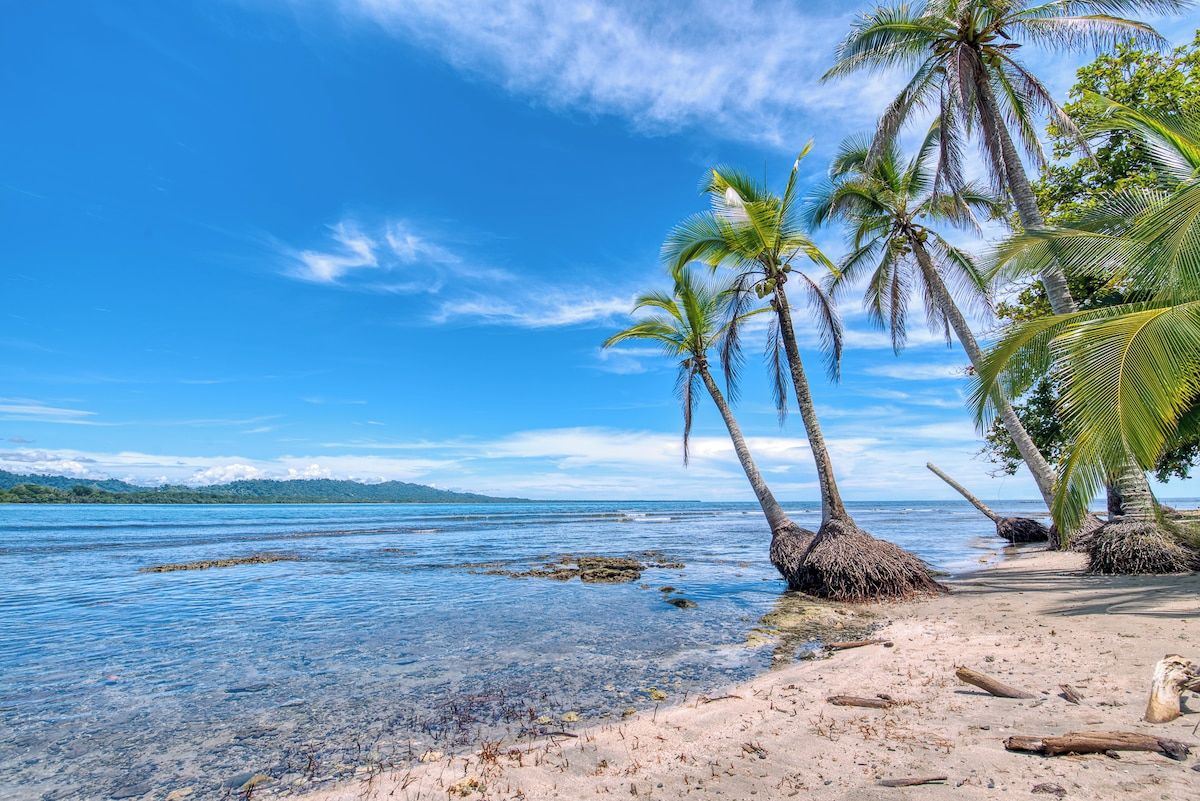 Ein Strand mit klarem Wasser, Palmen und einer entfernten Küstenlinie.