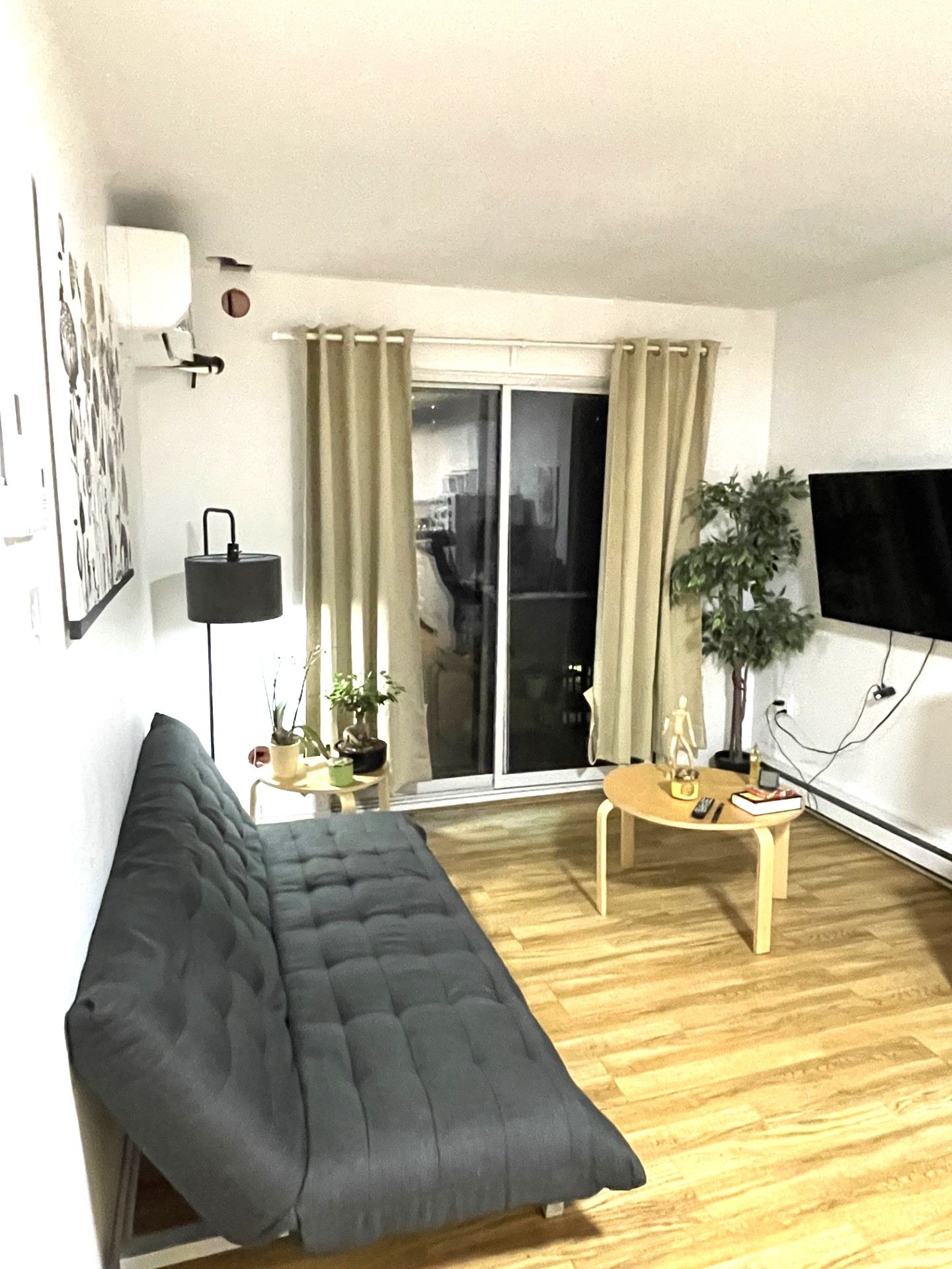 A living room with a sofa, a small table, a potted plant, and a TV.