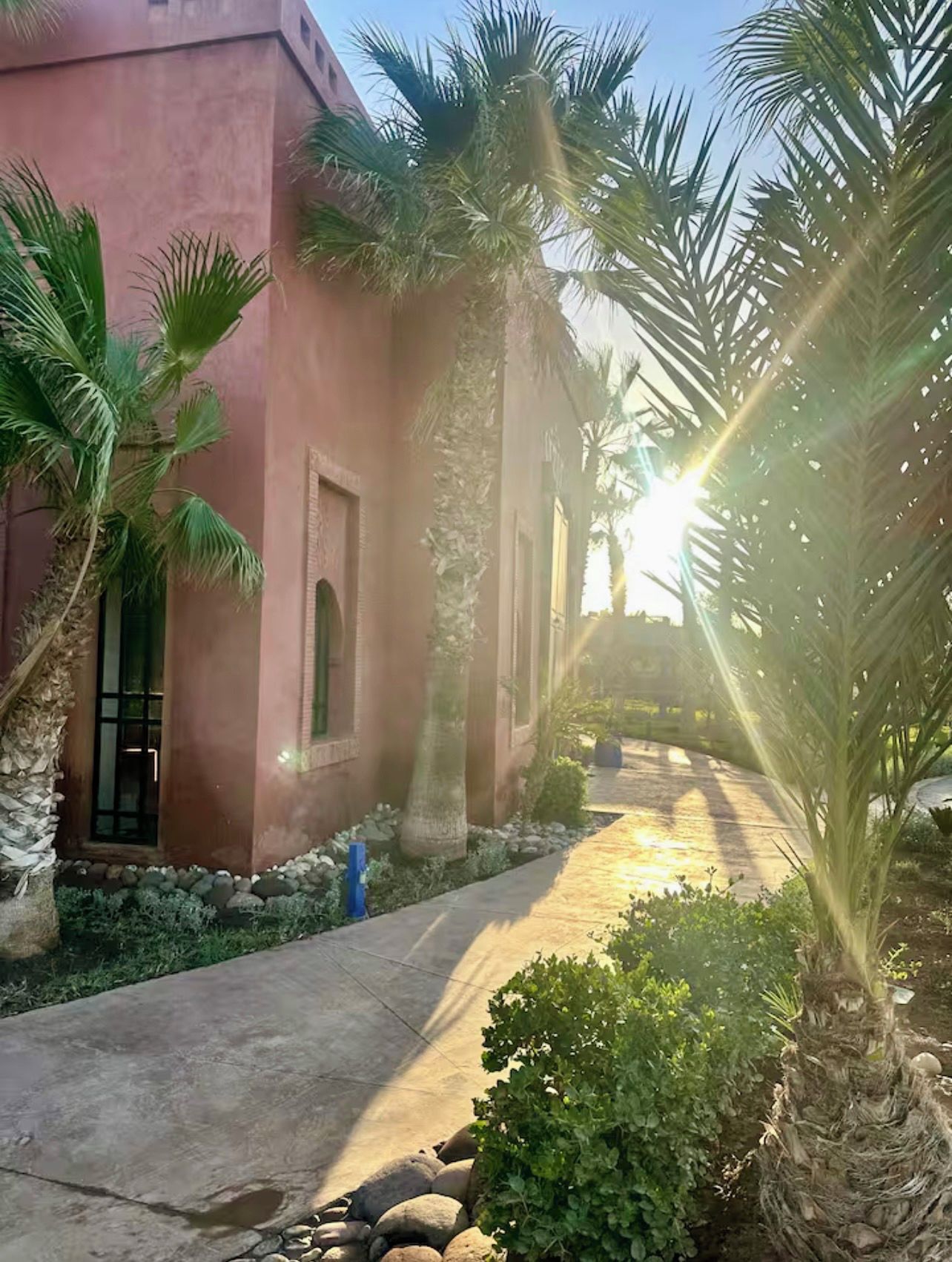 A pathway leading to a building with a pink facade, surrounded by palm trees and greenery.