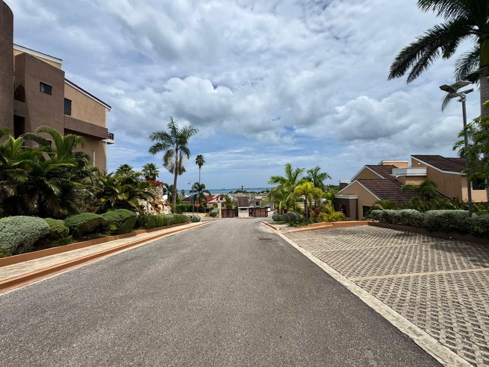 A residential street with houses, palm trees, and a clear sky.