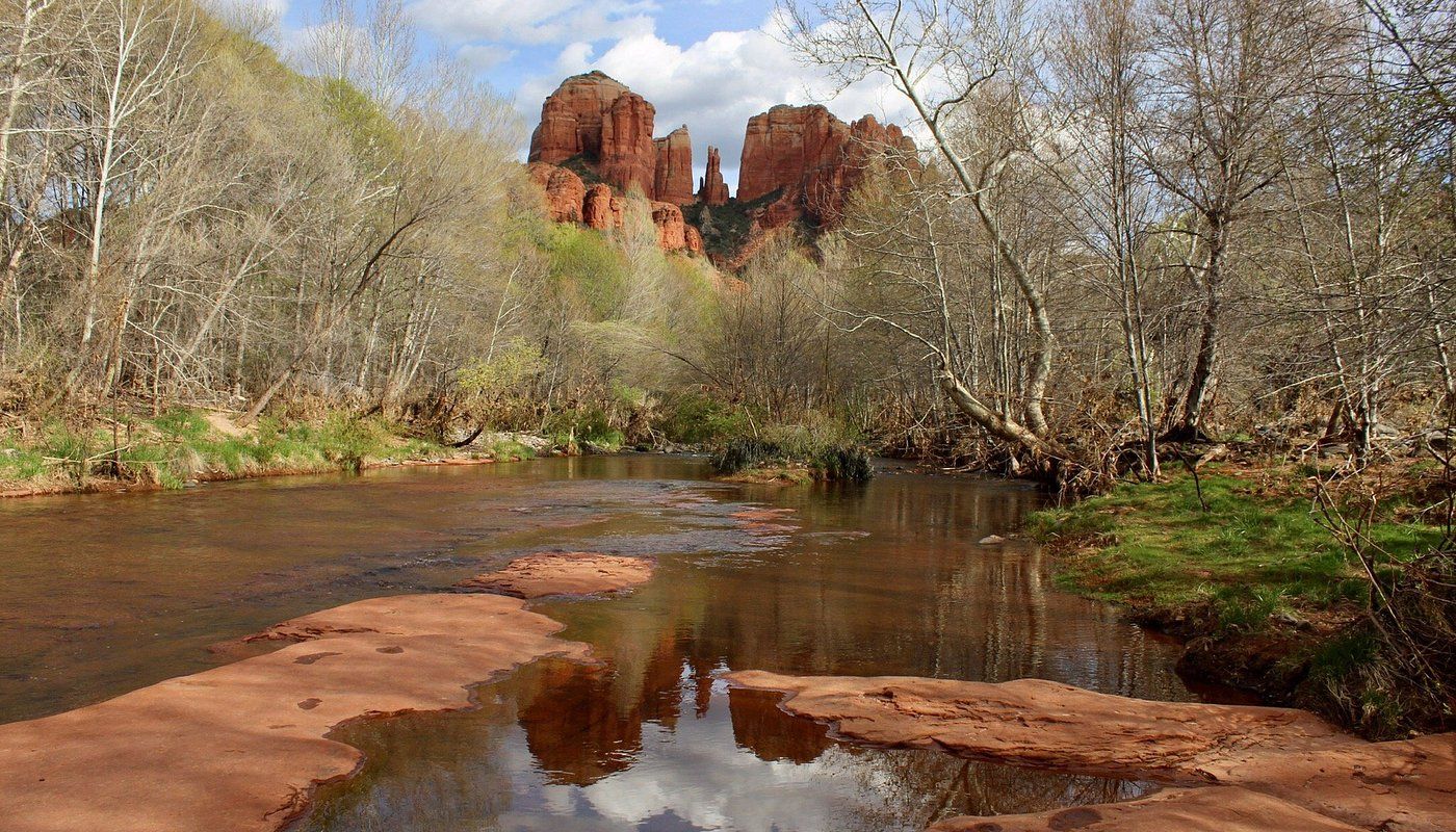 A river with reddish-brown rocks, surrounded by trees and a mountain range in the background.