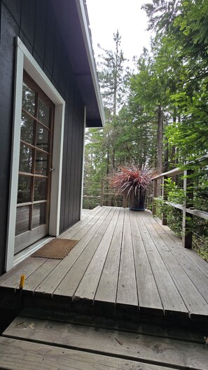 A wooden deck with a potted plant, a door, and a railing.