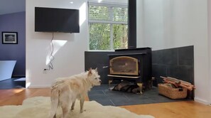 A room with a fireplace, a television mounted on the wall, and a dog standing on a rug.