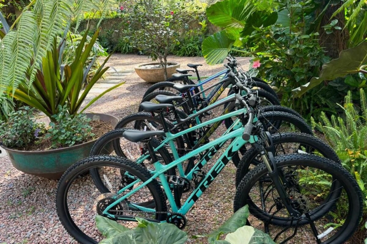 A row of bicycles parked on a gravel path surrounded by lush greenery.