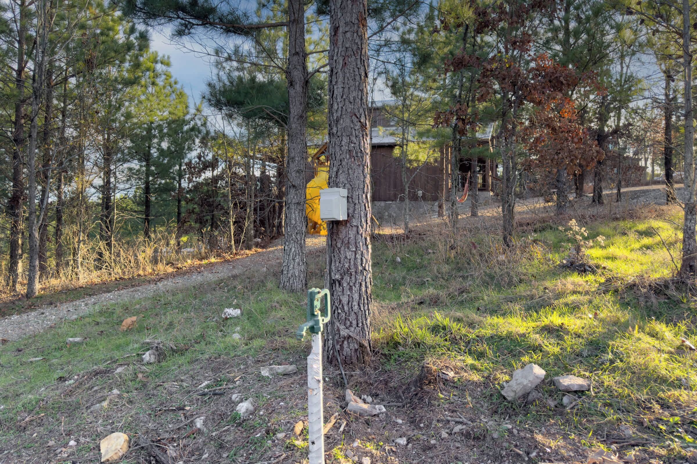Ein bewaldetes Gebiet mit einem Feldweg, der zu einem Gebäude mit einer gelben Tür führt.