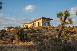 Une maison moderne avec un toit plat, de grandes fenêtres et entourée de végétation désertique.
