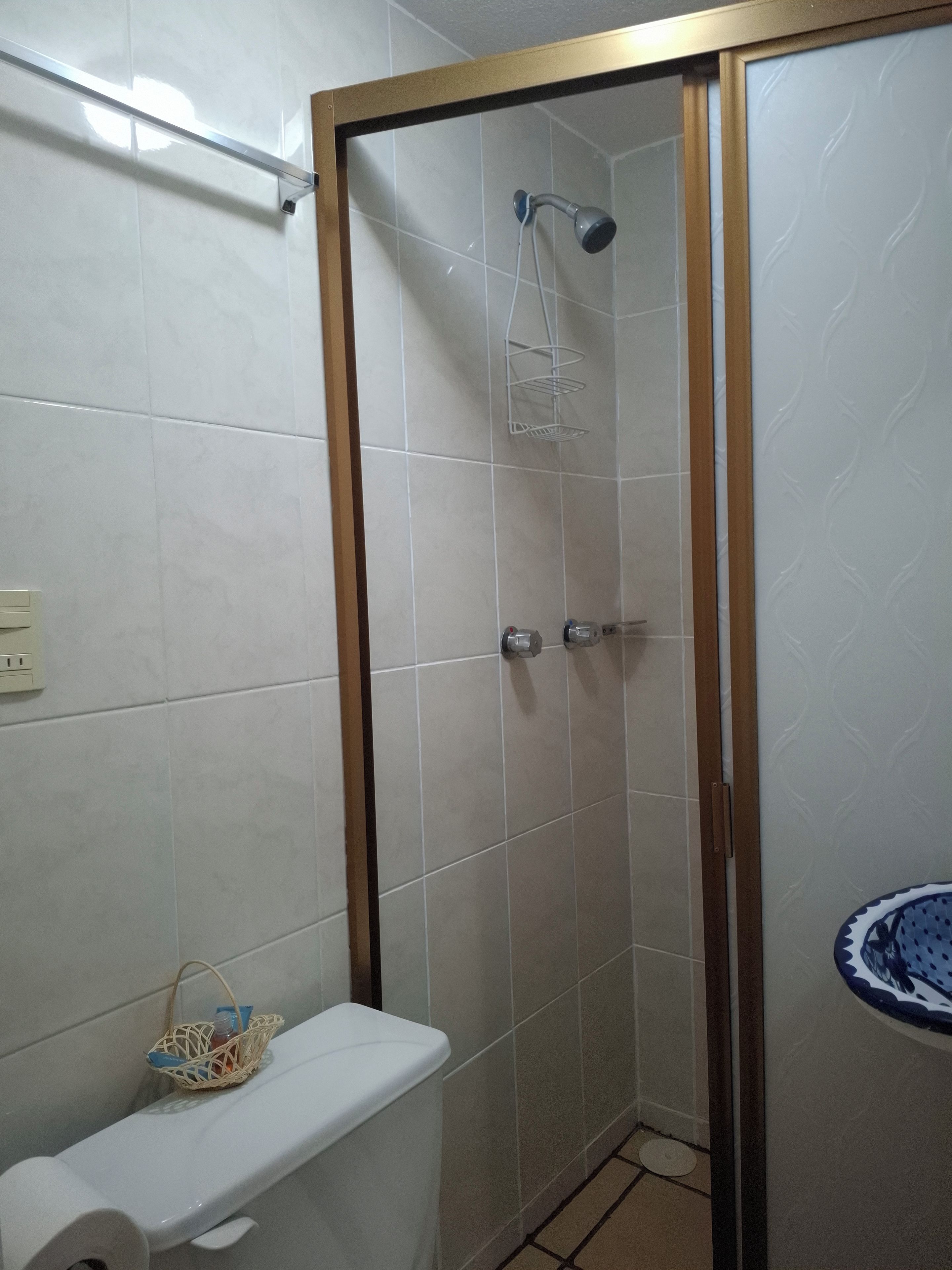 Baño con ducha, inodoro y perchero.
