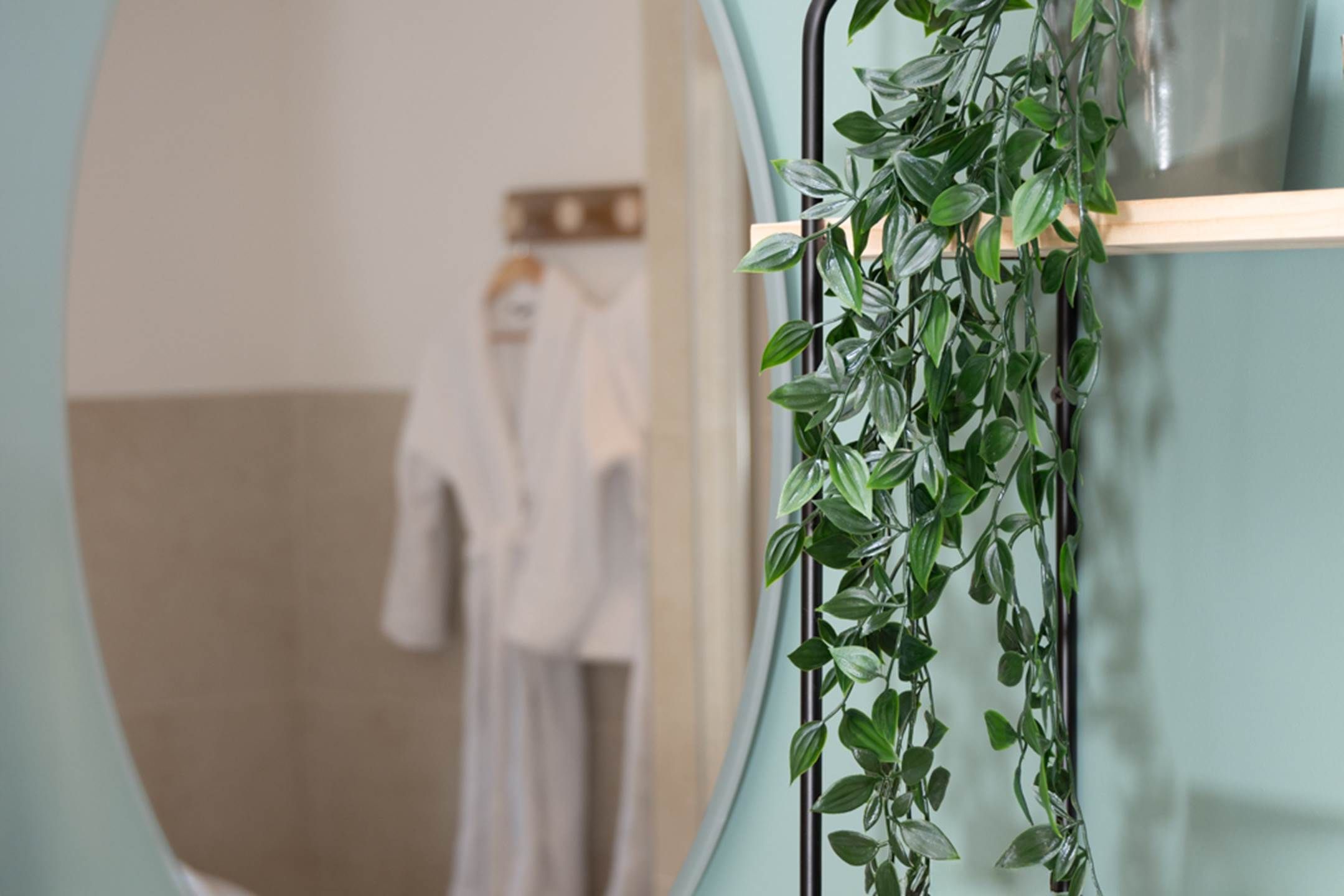 Une salle de bain avec un miroir, une plante et un porte-serviettes.