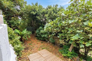 Ein Garten mit einer Holzterrasse, dichtem Grün und einer Ziegelmauer.