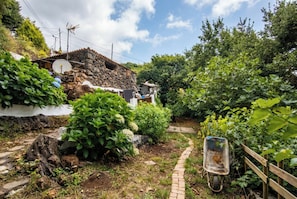 A rustic garden with stone walls, a wooden fence, and a variety of greenery. - Las Ninfas Natural Escape 1 (Icod de los Vinos)