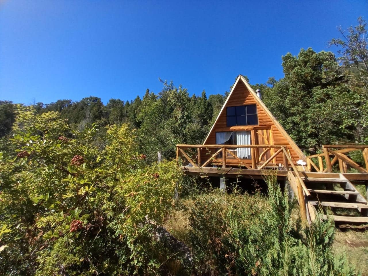 Une cabane en bois dotée d’un balcon, entourée d’une végétation luxuriante.