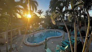 Ein Swimmingpool, umgeben von Liegestühlen und Palmen.