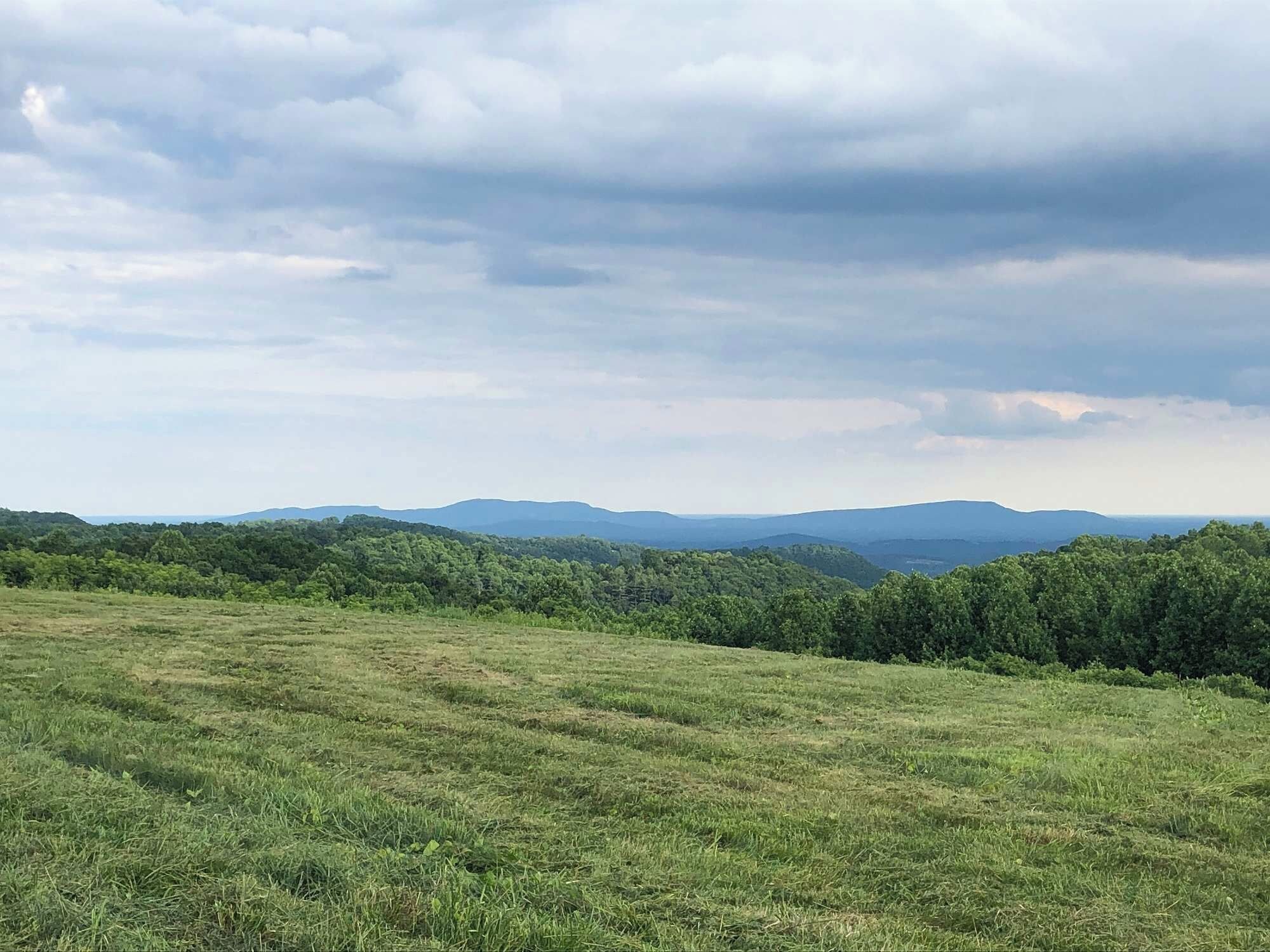 A grassy field with distant mountains under a cloudy sky.