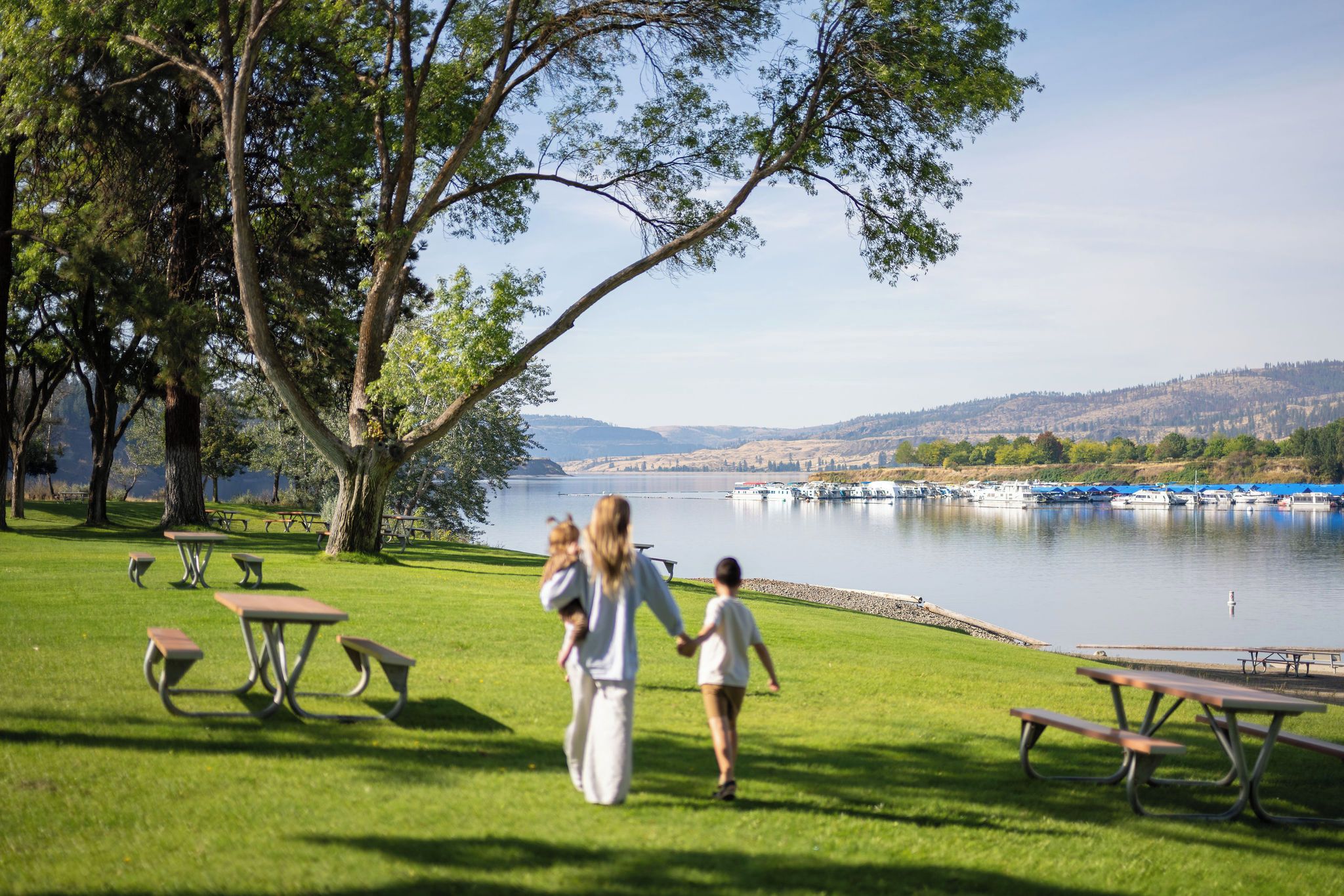 A grassy park area with picnic tables and a lake view.