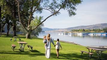 A grassy park area with picnic tables and a lake view.