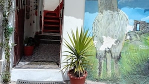 Una casa amb un mural d'una lllama, una escala i una planta en test.