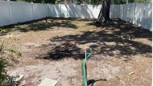 Property grounds - 1 BR APT close to Ybor, airport, downtown, Busch Gardens & Adventure Island (Tampa)