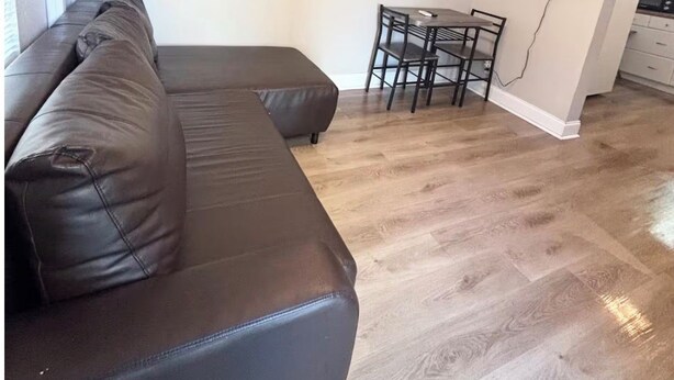 Living area - 1 BR APT close to Ybor, airport, downtown, Busch Gardens & Adventure Island (Tampa)