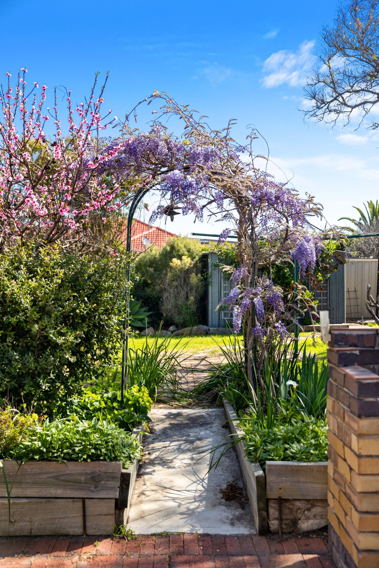 Un sentier de jardin menant à une structure en bois, entourée d’une végétation luxuriante et de plantes en fleurs.