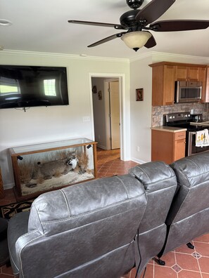 A living room with leather sofas, a mounted flat-screen TV, a ceiling fan, and a glass-fronted display case with a cat.
