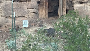 Entrada de cueva con puerta de madera, rodeada de terreno rocoso y vegetación escasa.