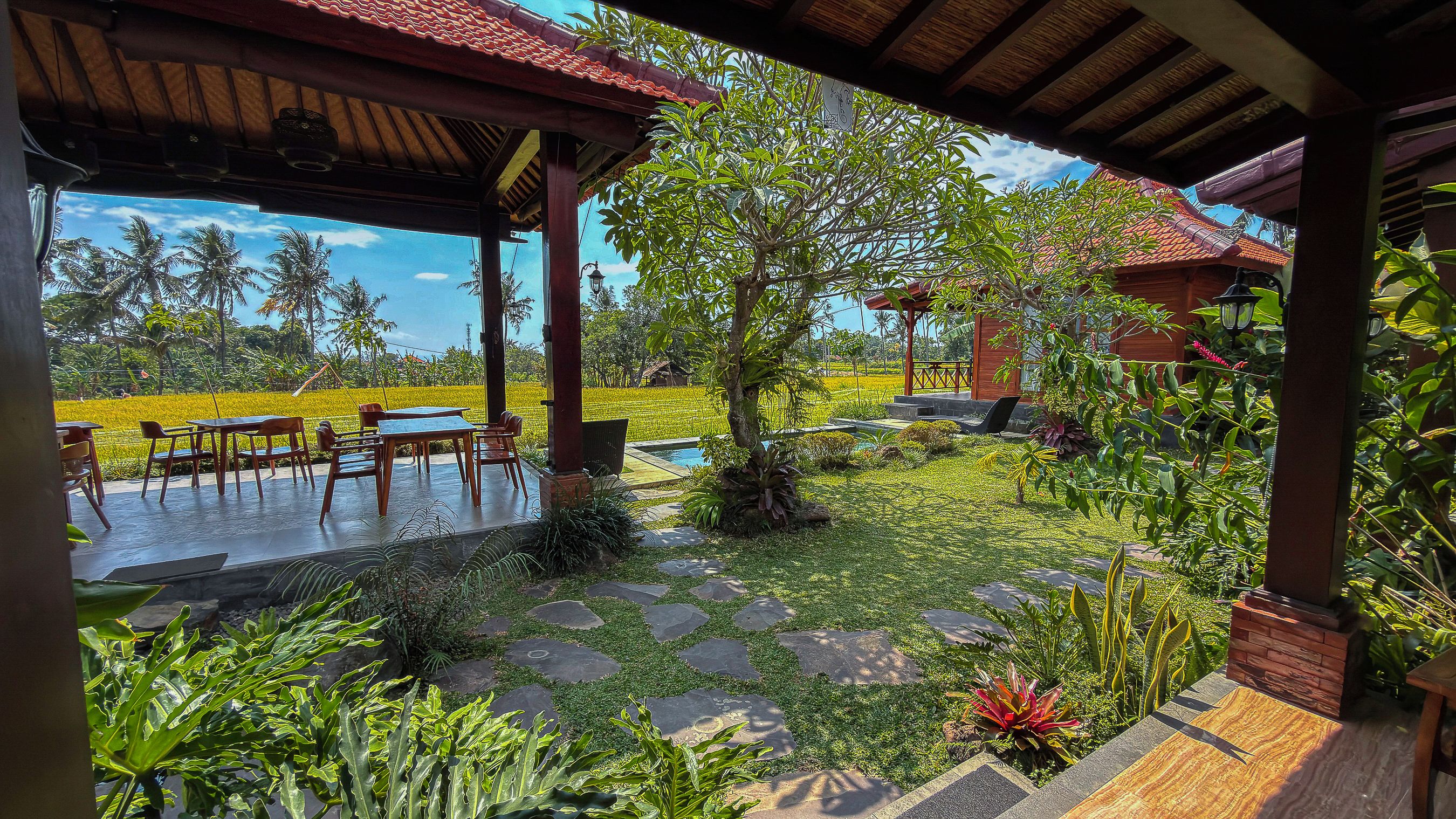 Garden view
