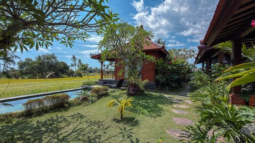 Dapha Eco Lodge Lovina