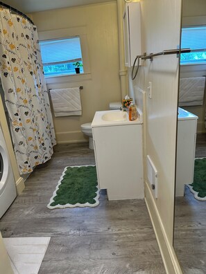 A bathroom with a toilet, sink, shower curtain, and a small window. - Historic 3 bedroom home with modern amenities, large kitchen and dining space. (Stillwater)