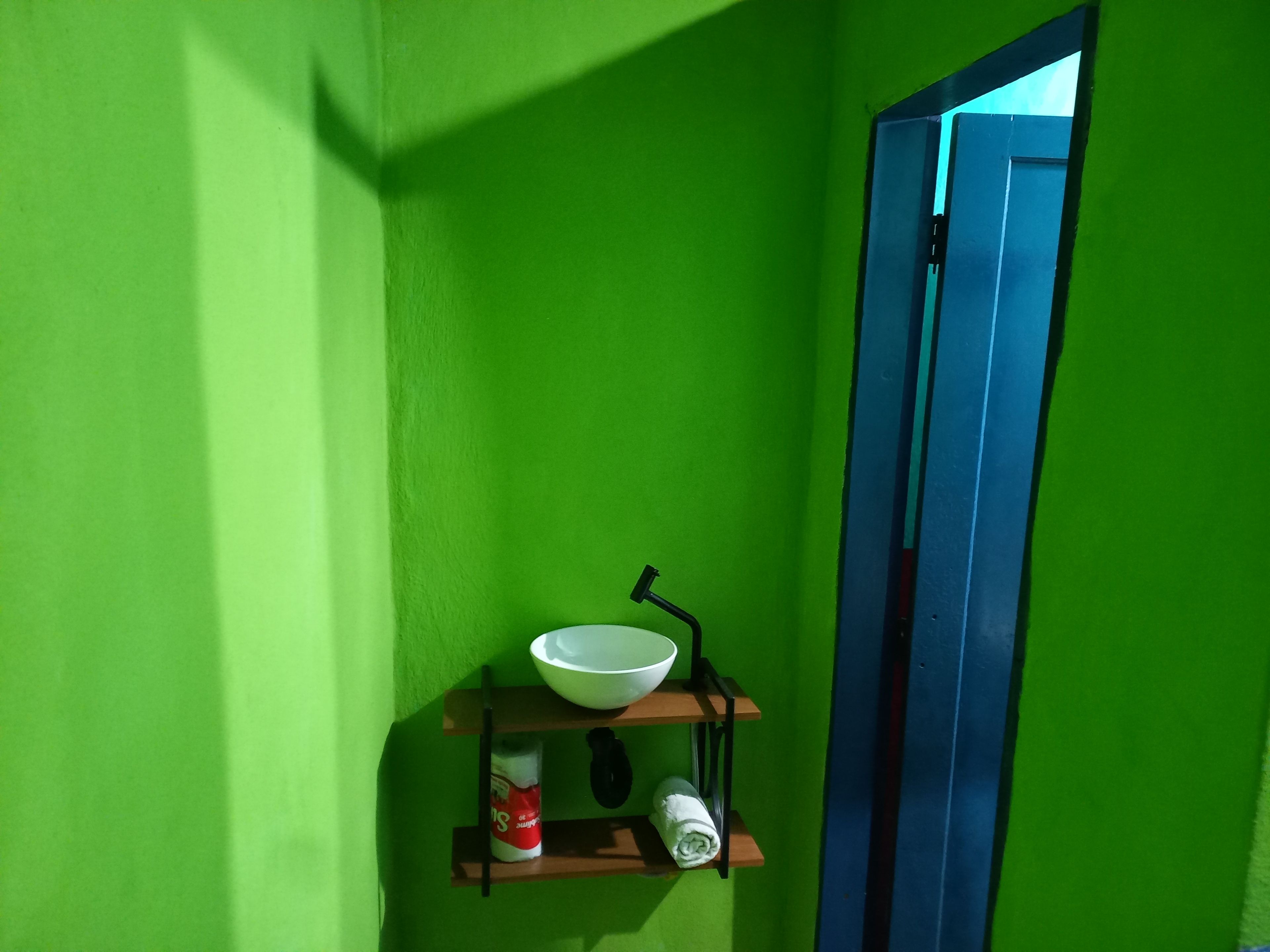 Et badeværelse med grøn væg, en hvid skål på en hylde, toiletpapir og en blå dør.