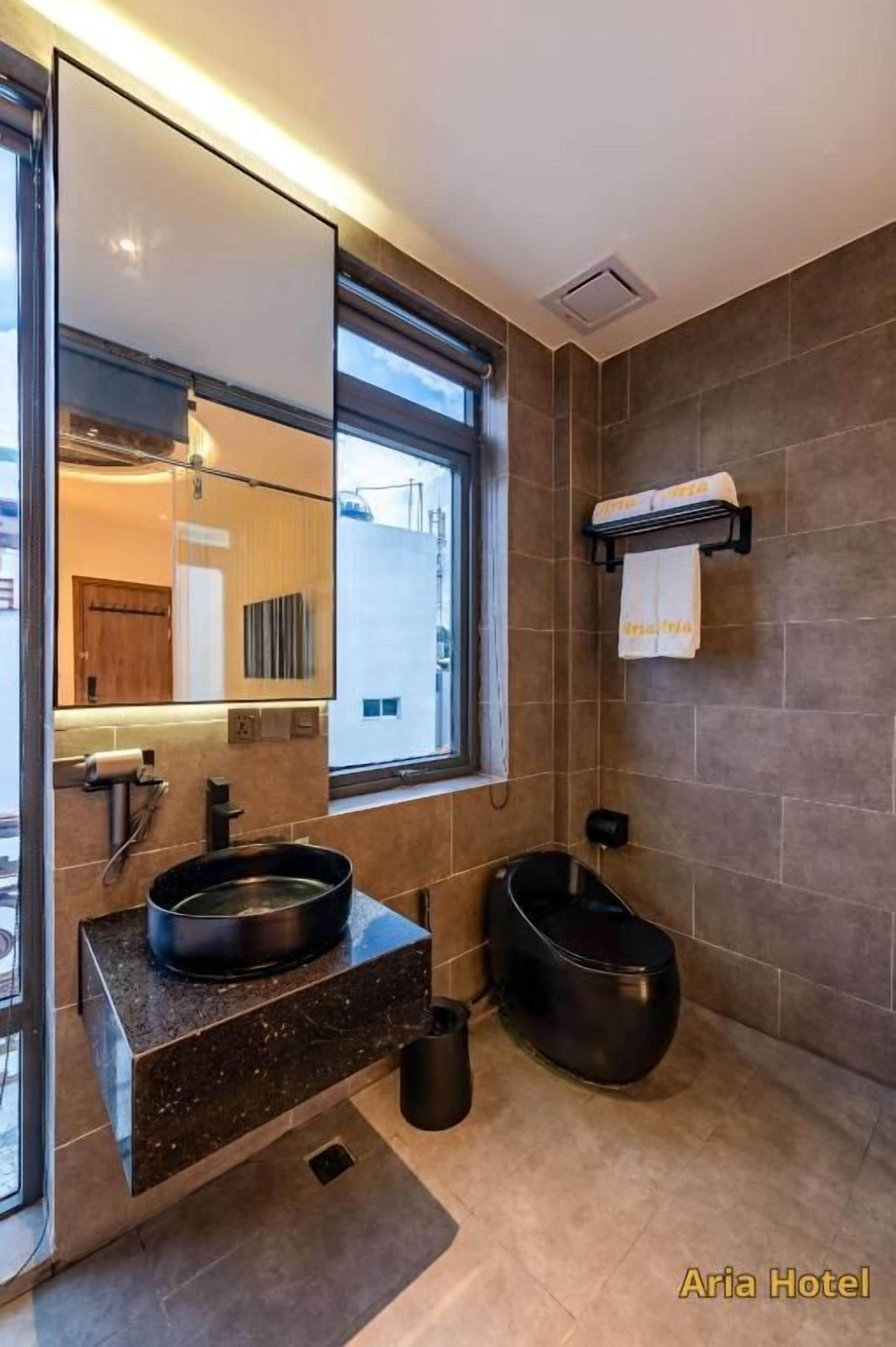 Une salle de bain moderne avec un grand miroir, un lavabo noir et un bidet noir.