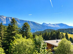 A mountain landscape with a cabin surrounded by dense forest and snow-capped peaks. - Apartment with south-facing terrace - 6 guests (Chamrousse)