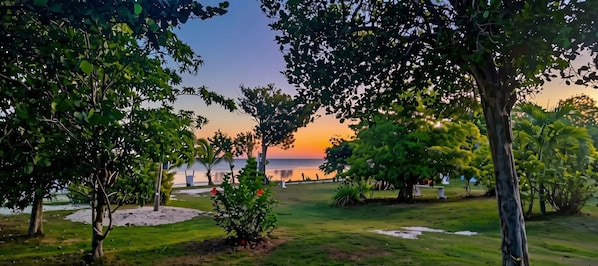 A park with trees, a grassy area, and a view of the sea at sunset.