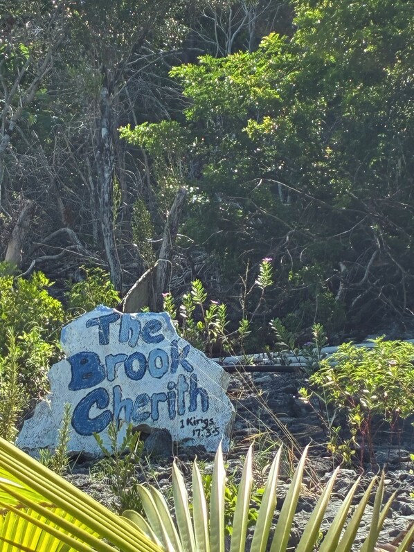 A sign with the text 'The Brook Cherith' and a date '17.3.5' in a natural setting with trees and plants.