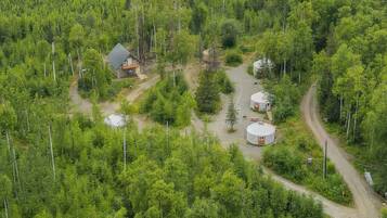 A remote cabin surrounded by dense forest, with a dirt road leading to it.