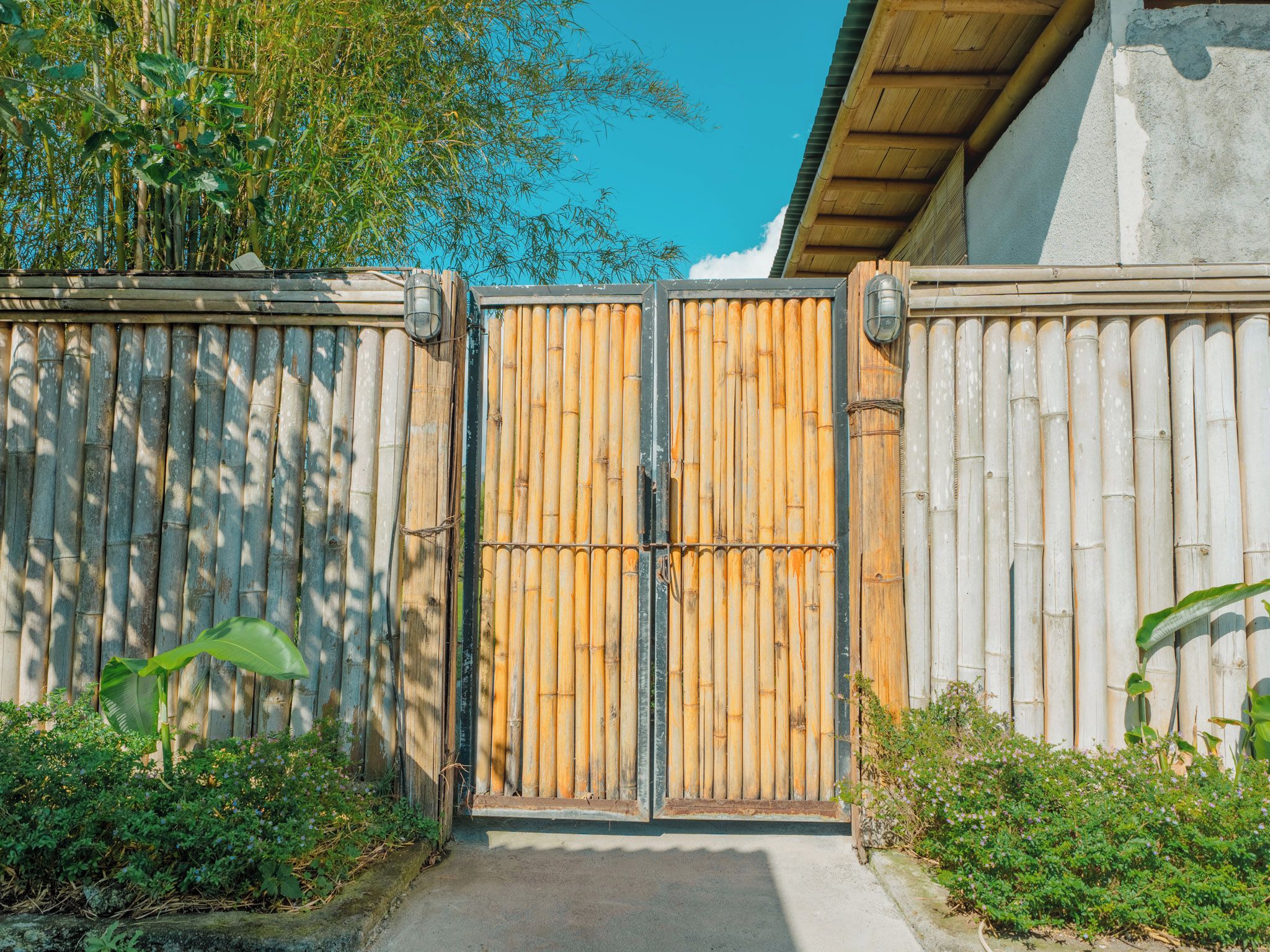 A bamboo fence with a metal gate, surrounded by greenery and a clear sky.