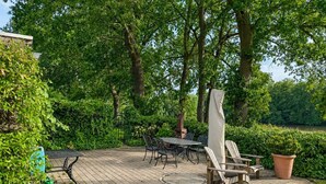 A patio area with a table and chairs, surrounded by greenery and trees. - Emsblick & Naturglück – Auszeit in Fresenburg (Fresenburg)